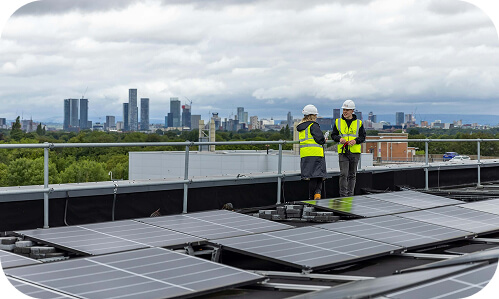 New Zealand engineers on the roof of office building