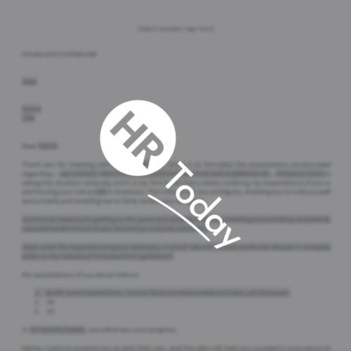file preview